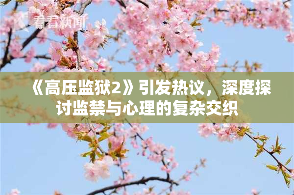 《高压监狱2》引发热议，深度探讨监禁与心理的复杂交织