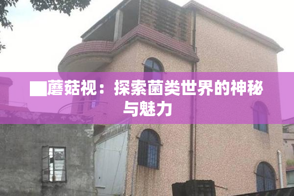 ▇蘑菇视：探索菌类世界的神秘与魅力