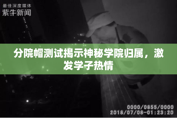分院帽测试揭示神秘学院归属，激发学子热情