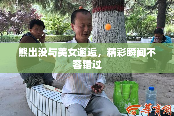 熊出没与美女邂逅，精彩瞬间不容错过