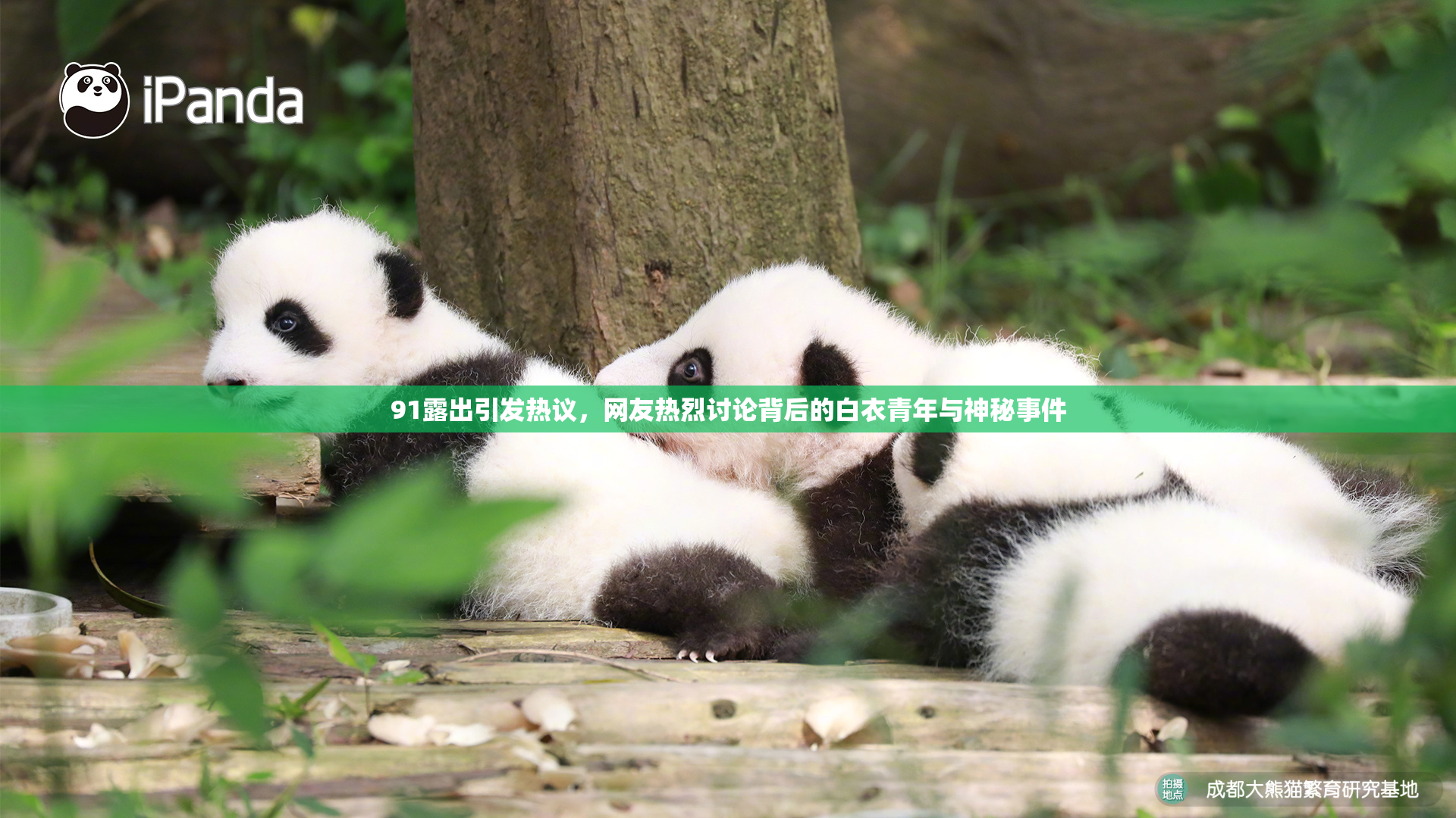 91露出引发热议，网友热烈讨论背后的白衣青年与神秘事件