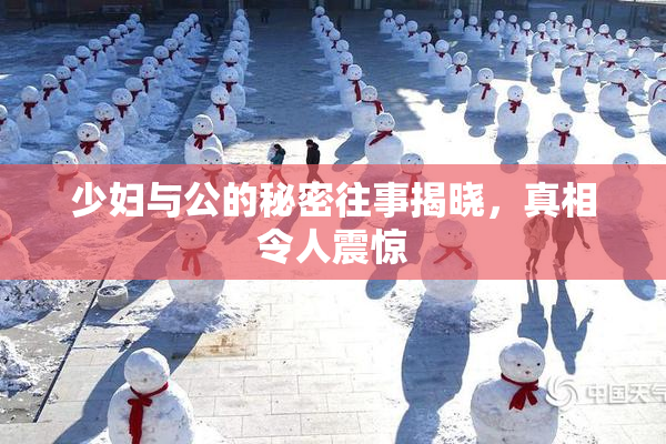 少妇与公的秘密往事揭晓，真相令人震惊