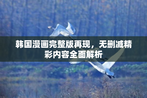 韩国漫画完整版再现，无删减精彩内容全面解析