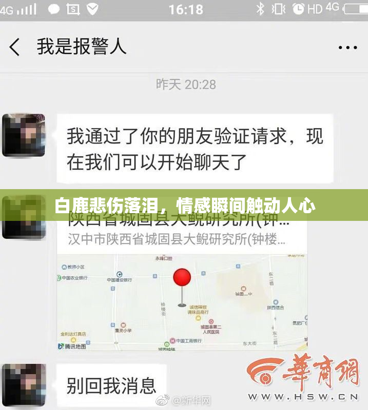 白鹿悲伤落泪，情感瞬间触动人心