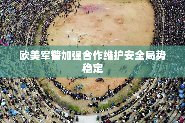 欧美军警加强合作维护安全局势稳定
