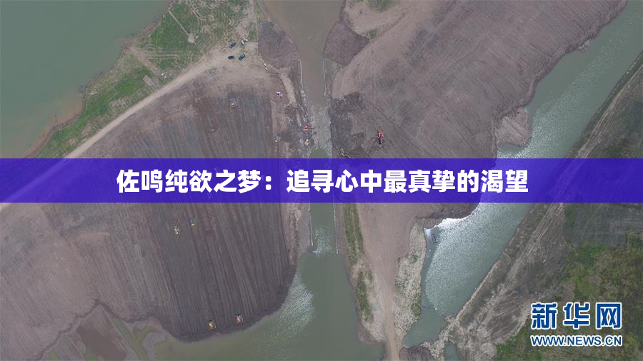 佐鸣纯欲之梦：追寻心中最真挚的渴望
