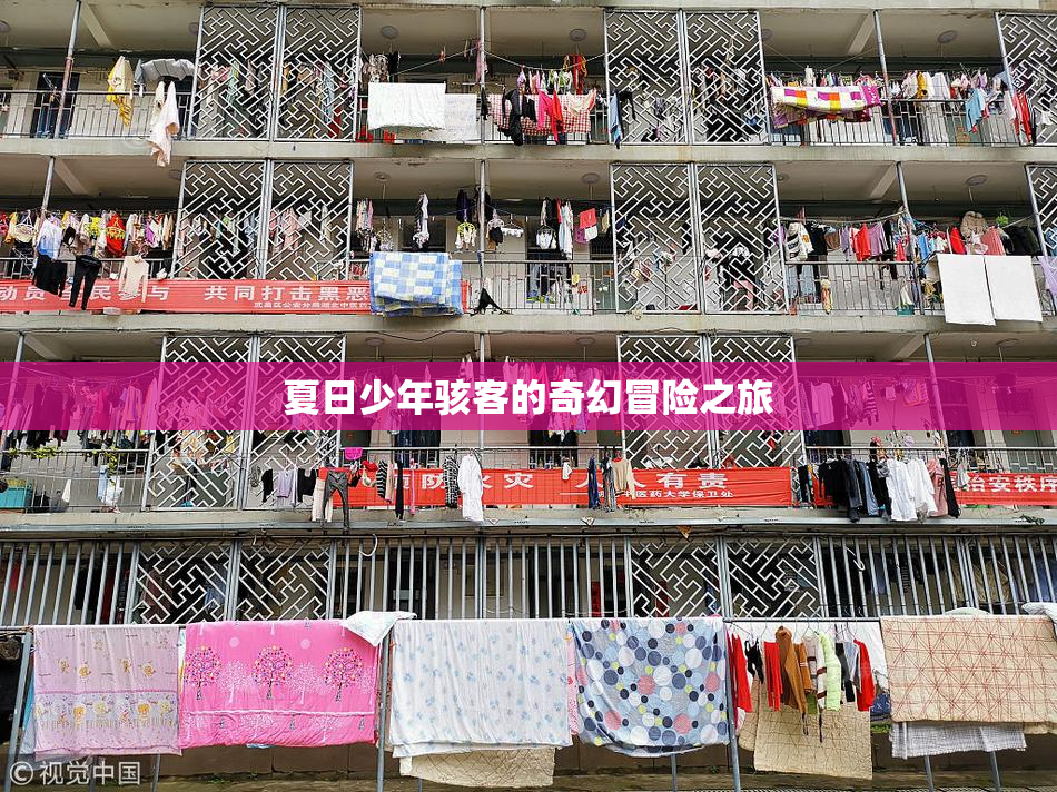 夏日少年骇客的奇幻冒险之旅