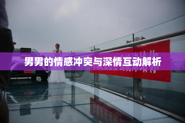 男男的情感冲突与深情互动解析