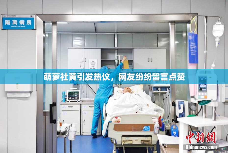 萌萝社黄引发热议，网友纷纷留言点赞