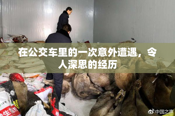 在公交车里的一次意外遭遇，令人深思的经历