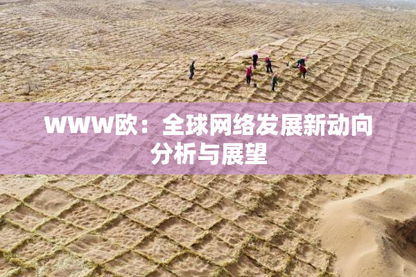WWW欧：全球网络发展新动向分析与展望