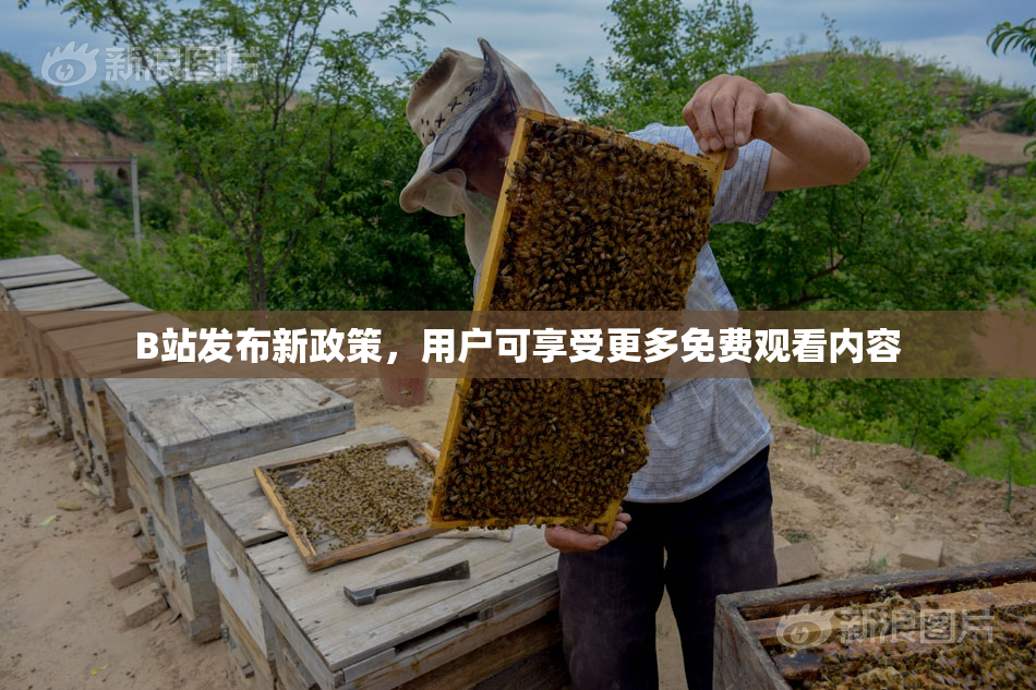 B站发布新政策，用户可享受更多免费观看内容