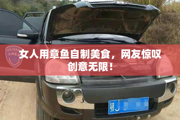 女人用章鱼自制美食，网友惊叹创意无限！