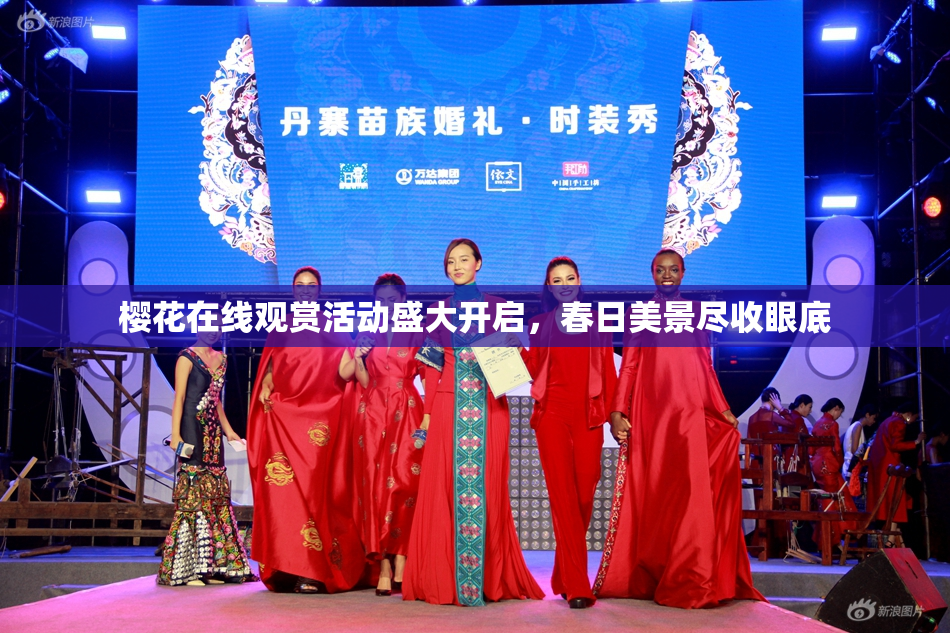 樱花在线观赏活动盛大开启，春日美景尽收眼底