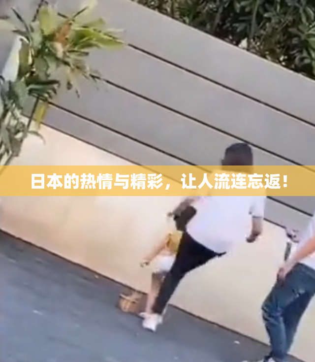 日本的热情与精彩，让人流连忘返！