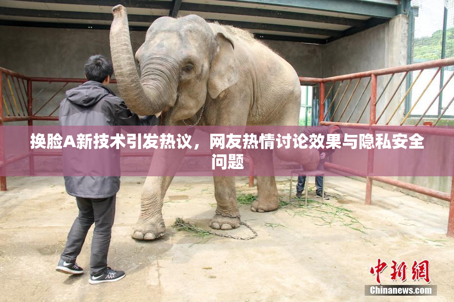 换脸A新技术引发热议，网友热情讨论效果与隐私安全问题