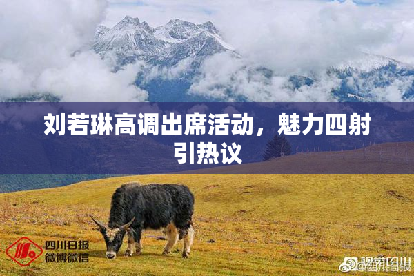 刘若琳高调出席活动，魅力四射引热议