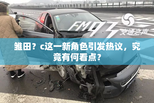 雏田？c这一新角色引发热议，究竟有何看点？