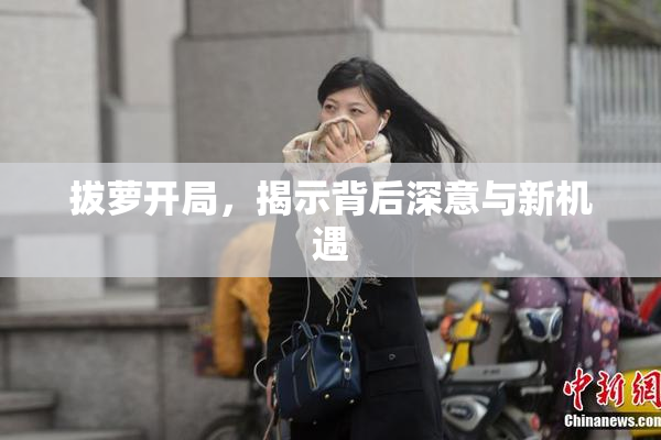 拔萝开局，揭示背后深意与新机遇