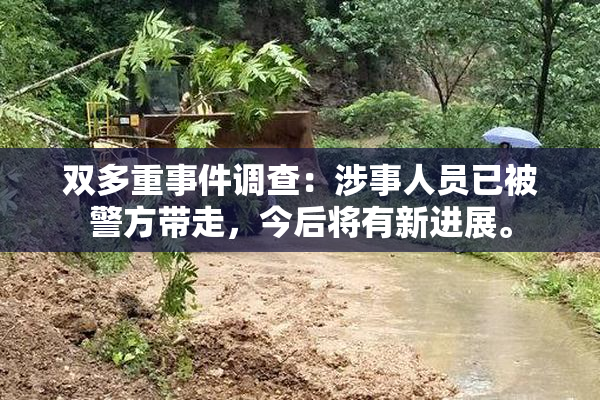 双多重事件调查：涉事人员已被警方带走，今后将有新进展。