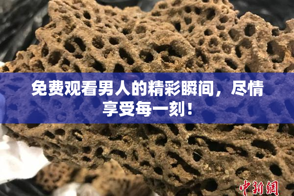 免费观看男人的精彩瞬间，尽情享受每一刻！
