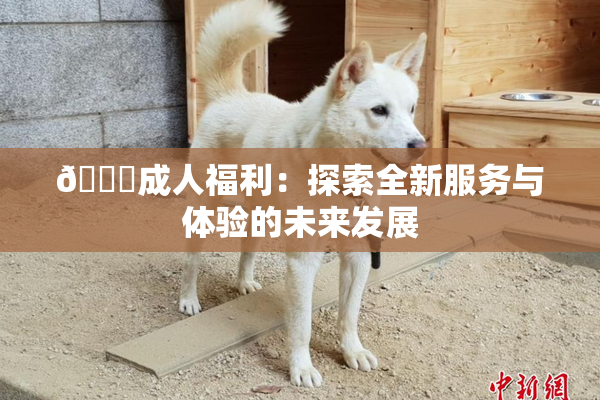 🔞成人福利：探索全新服务与体验的未来发展