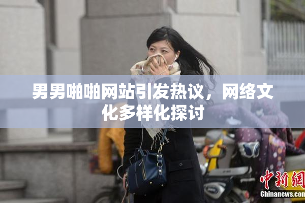 男男啪啪网站引发热议，网络文化多样化探讨