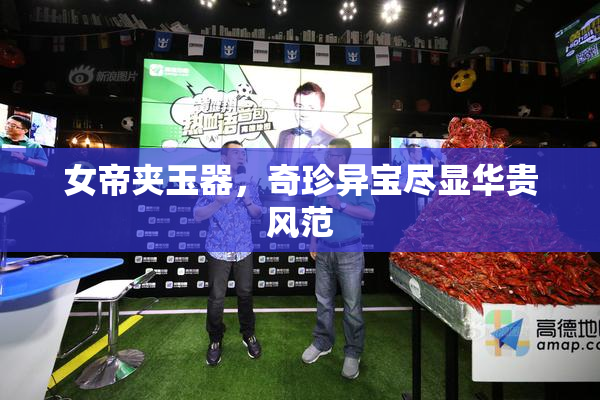 女帝夹玉器，奇珍异宝尽显华贵风范