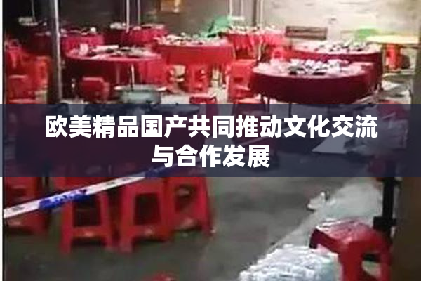 欧美精品国产共同推动文化交流与合作发展