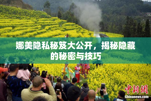 娜美隐私秘笈大公开，揭秘隐藏的秘密与技巧