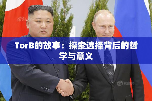 TorB的故事：探索选择背后的哲学与意义