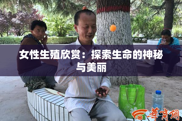 女性生殖欣赏：探索生命的神秘与美丽