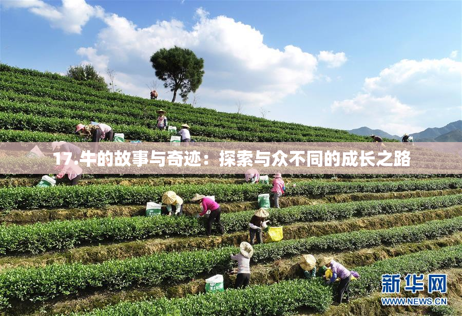 17.牛的故事与奇迹：探索与众不同的成长之路