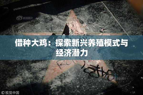 借种大鸡：探索新兴养殖模式与经济潜力
