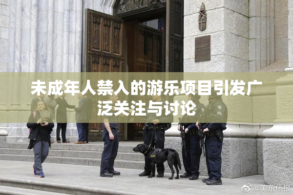 未成年人禁入的游乐项目引发广泛关注与讨论
