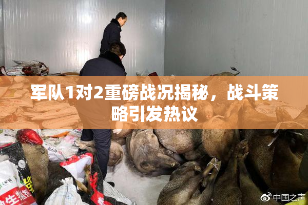 军队1对2重磅战况揭秘，战斗策略引发热议