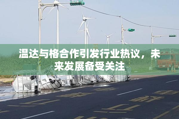 温达与格合作引发行业热议，未来发展备受关注