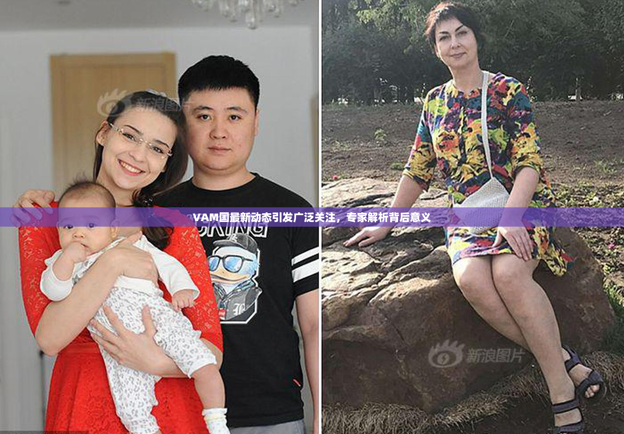 VAM国最新动态引发广泛关注，专家解析背后意义