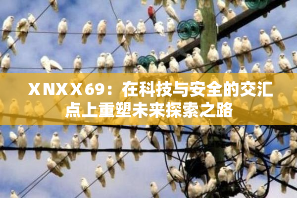 ⅩNXⅩ69：在科技与安全的交汇点上重塑未来探索之路