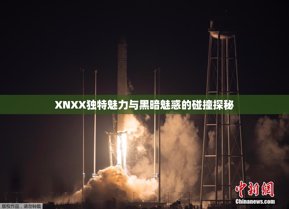XNXX独特魅力与黑暗魅惑的碰撞探秘