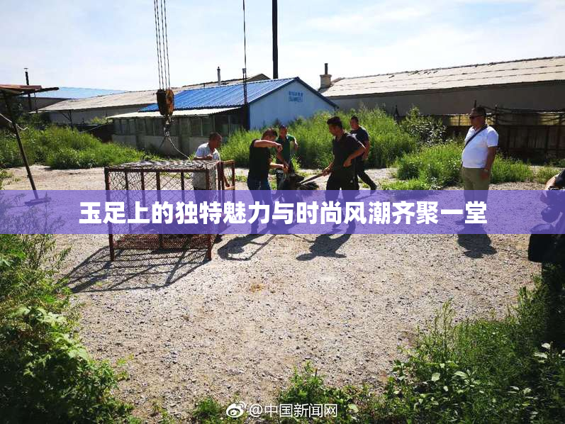 玉足上的独特魅力与时尚风潮齐聚一堂