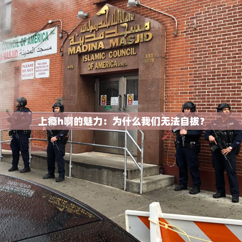 上瘾h啊的魅力：为什么我们无法自拔？