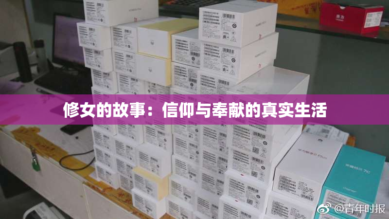修女的故事：信仰与奉献的真实生活