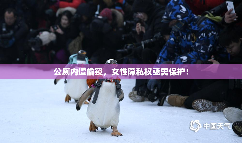 公厕内遭偷窥，女性隐私权亟需保护！