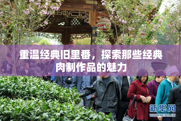 重温经典旧里番，探索那些经典肉制作品的魅力