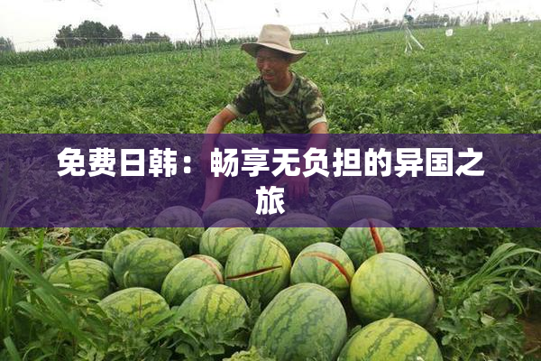 免费日韩：畅享无负担的异国之旅