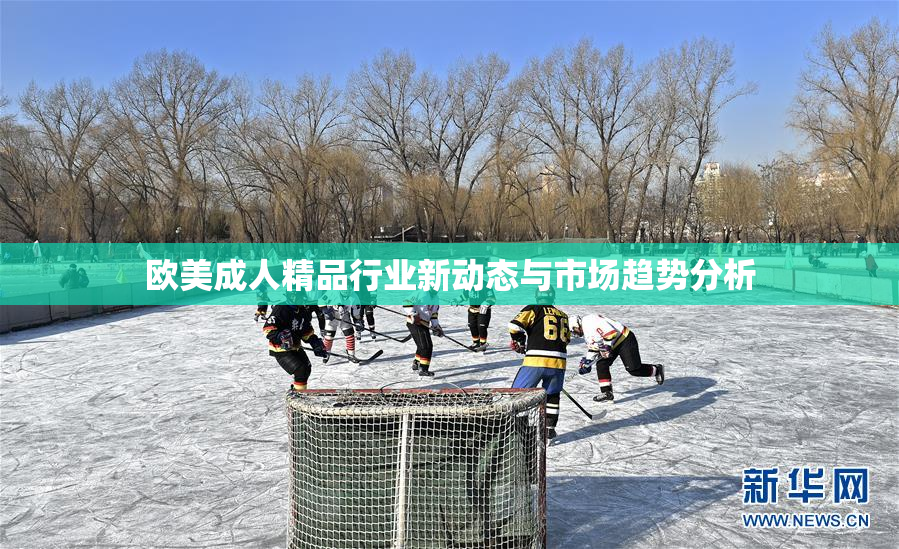 欧美成人精品行业新动态与市场趋势分析