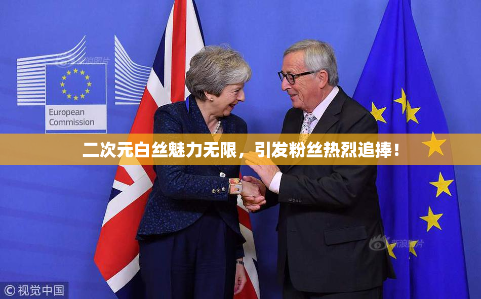 二次元白丝魅力无限，引发粉丝热烈追捧！