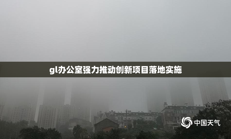 gl办公室强力推动创新项目落地实施