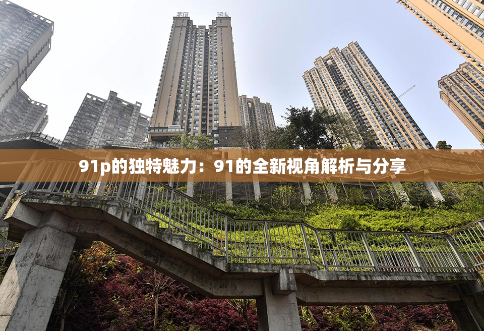 91p的独特魅力：91的全新视角解析与分享